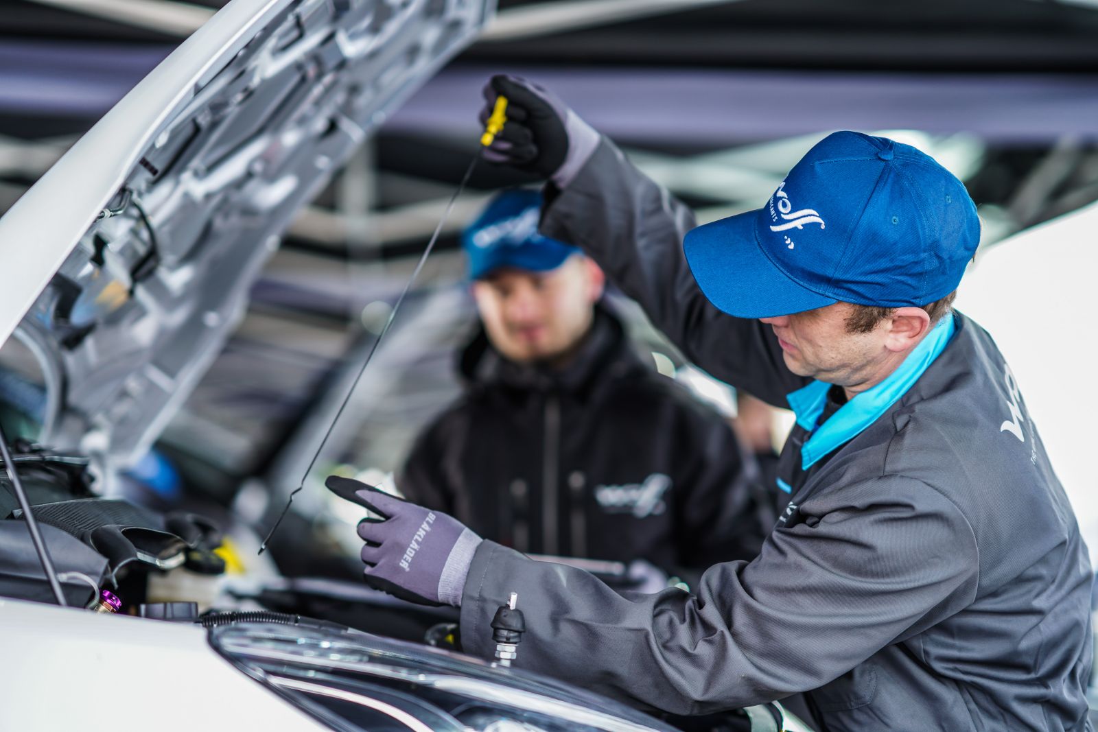 Nuovi lubrificanti targati Wolf Lubricants